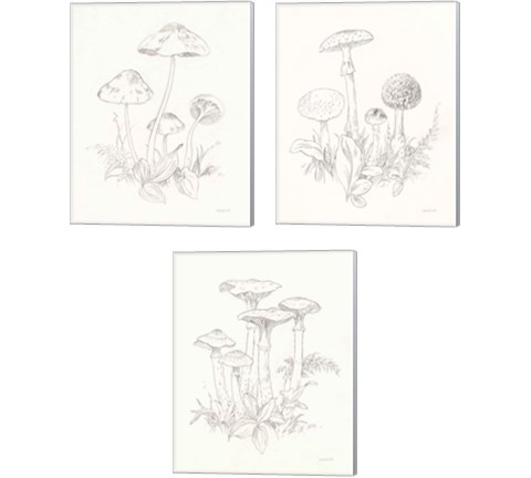 Nature Sketchbook 3 Piece Canvas Print Set by Danhui Nai