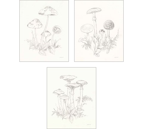 Nature Sketchbook 3 Piece Art Print Set by Danhui Nai