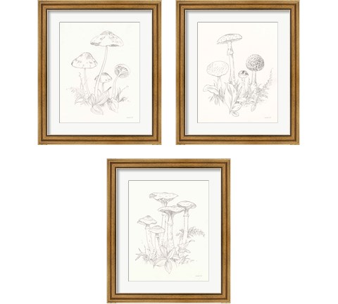 Nature Sketchbook 3 Piece Framed Art Print Set by Danhui Nai