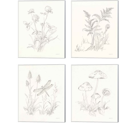 Nature Sketchbook 4 Piece Canvas Print Set by Danhui Nai