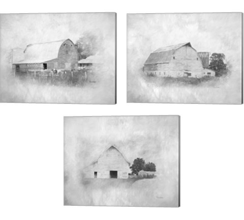 Barn 3 Piece Canvas Print Set by Ramona Murdock