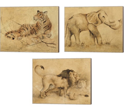 Global Safari Animal 3 Piece Canvas Print Set by Cheri Blum