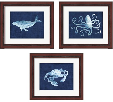 Sealife on Blue 3 Piece Framed Art Print Set by Edward Selkirk