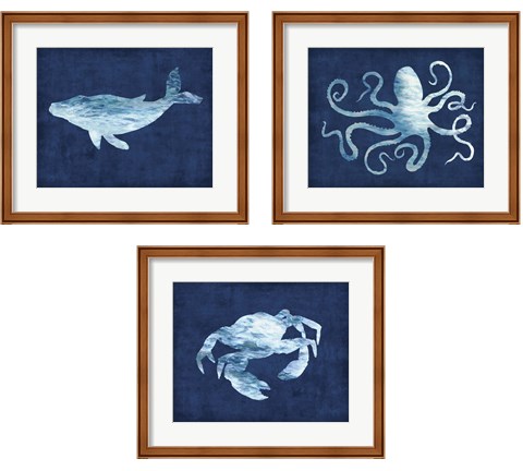 Sealife on Blue 3 Piece Framed Art Print Set by Edward Selkirk