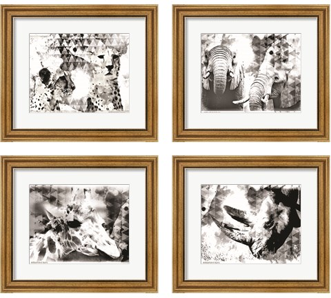 Modern Black & White Safari Animal 4 Piece Framed Art Print Set by Bluebird Barn