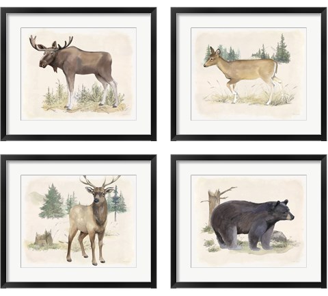 Wilderness Collection 4 Piece Framed Art Print Set by Beth Grove