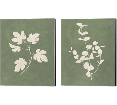 Botanical Study Forest Green 2 Piece Canvas Print Set by Julia Purinton