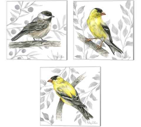 Backyard Birds 3 Piece Canvas Print Set by Kelsey Wilson