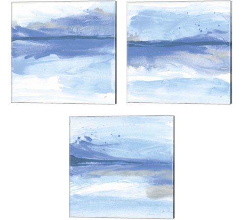 Reactions  3 Piece Canvas Print Set by Chris Paschke