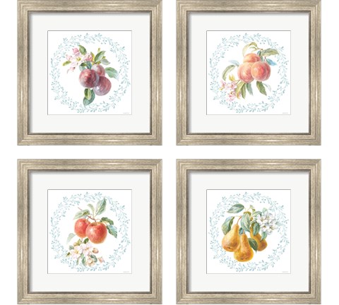 Blooming Orchard 4 Piece Framed Art Print Set by Danhui Nai