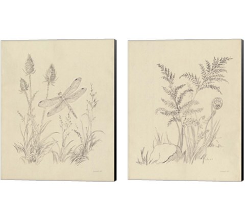 Vintage Nature Sketchbook 2 Piece Canvas Print Set by Danhui Nai