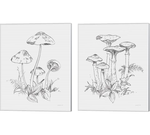 Natures Sketchbook 2 Piece Canvas Print Set by Danhui Nai