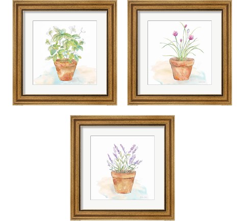 Let it Grow 3 Piece Framed Art Print Set by Cynthia Coulter