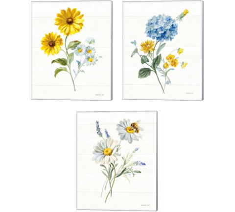 Bees and Blooms Flowers 3 Piece Canvas Print Set by Danhui Nai