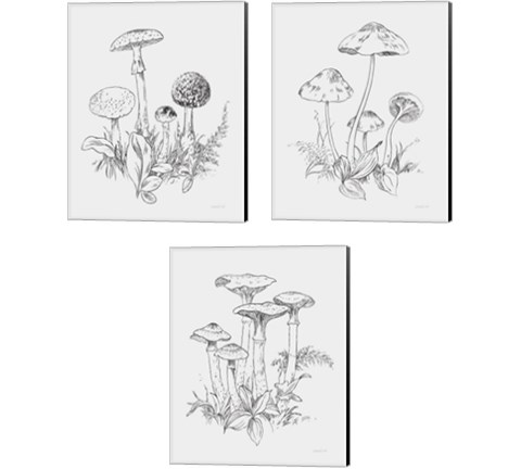 Natures Sketchbook 3 Piece Canvas Print Set by Danhui Nai