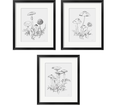 Natures Sketchbook 3 Piece Framed Art Print Set by Danhui Nai