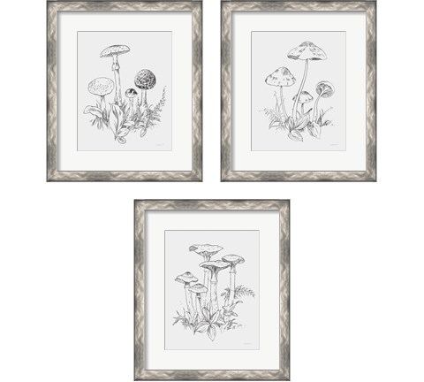 Natures Sketchbook 3 Piece Framed Art Print Set by Danhui Nai
