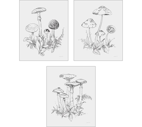 Natures Sketchbook 3 Piece Art Print Set by Danhui Nai