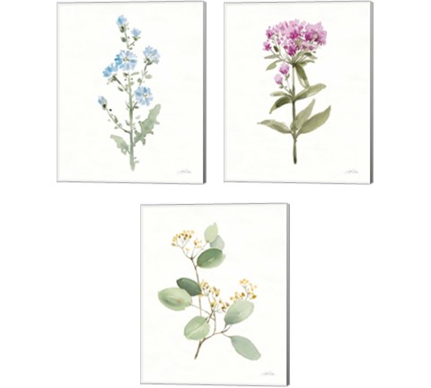 Flowers of the Wild 3 Piece Canvas Print Set by Katrina Pete