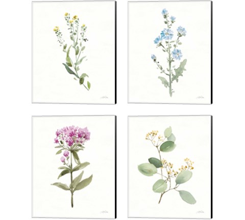 Flowers of the Wild 4 Piece Canvas Print Set by Katrina Pete