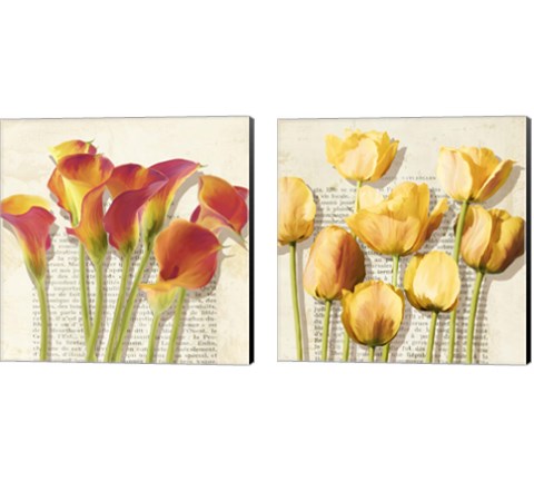 Histoires de Fleur 2 Piece Canvas Print Set by Luca Villa