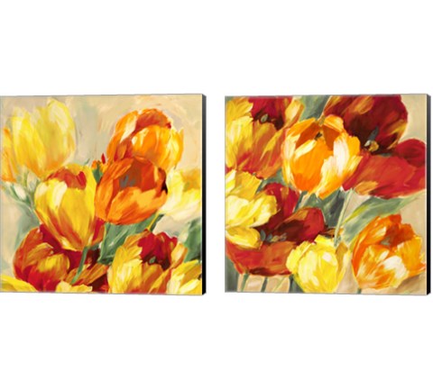 Tulips in the Sun 2 Piece Canvas Print Set by Jim Stone