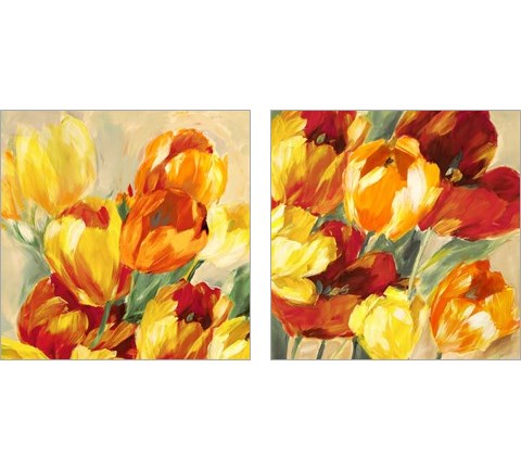 Tulips in the Sun 2 Piece Art Print Set by Jim Stone