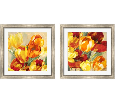 Tulips in the Sun 2 Piece Framed Art Print Set by Jim Stone