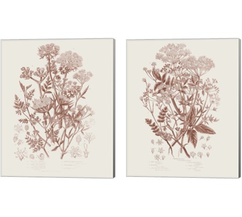 Flowering Plants 2 Piece Canvas Print Set by Wild Apple Portfolio