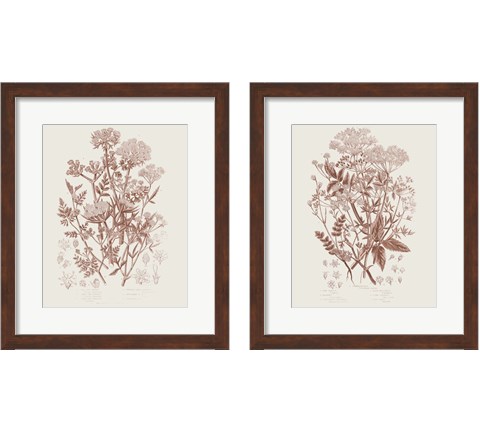 Flowering Plants 2 Piece Framed Art Print Set by Wild Apple Portfolio