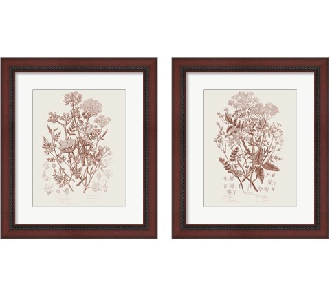 Flowering Plants 2 Piece Framed Art Print Set by Wild Apple Portfolio