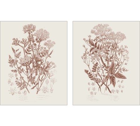 Flowering Plants 2 Piece Art Print Set by Wild Apple Portfolio