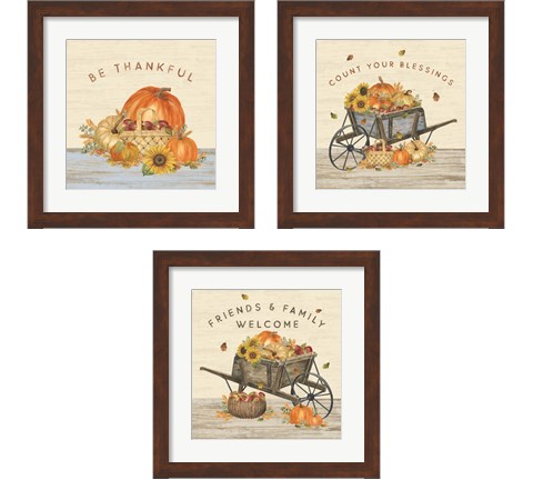 Harvest Season 3 Piece Framed Art Print Set by Tara Reed