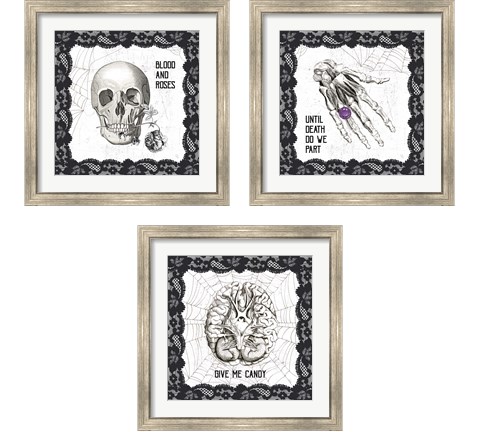 Arsenic and Anatomy 3 Piece Framed Art Print Set by Sue Schlabach