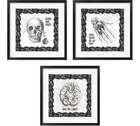 Arsenic and Anatomy 3 Piece Framed Art Print Set by Sue Schlabach