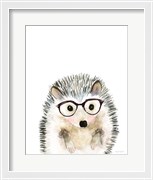 Hedgehog in Glasses