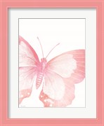 Pink Butterfly V