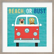 Beach Bums Bus