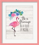 Be a Flamingo