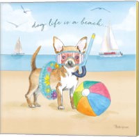 Framed 'Summer Paws II' border=