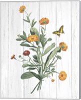 Framed 'Botanical Bouquet on Wood IV' border=