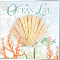 Framed 'Ocean Life' border=