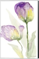 Framed Teal and Lavender Tulips II