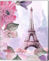 Framed 'Parisian Blossoms I' border=