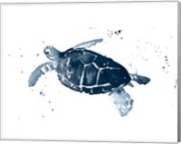 Framed Navy Ink Turtle I
