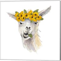 Framed 'Floral Llama I' border=