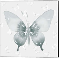 Framed 'Grey Watercolor Butterflies II' border=