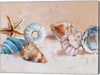 Framed Shells on the Shore Rectangle