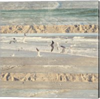 Framed Flying Beach Birds II