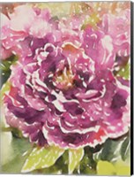 Framed Purple Blossoms
